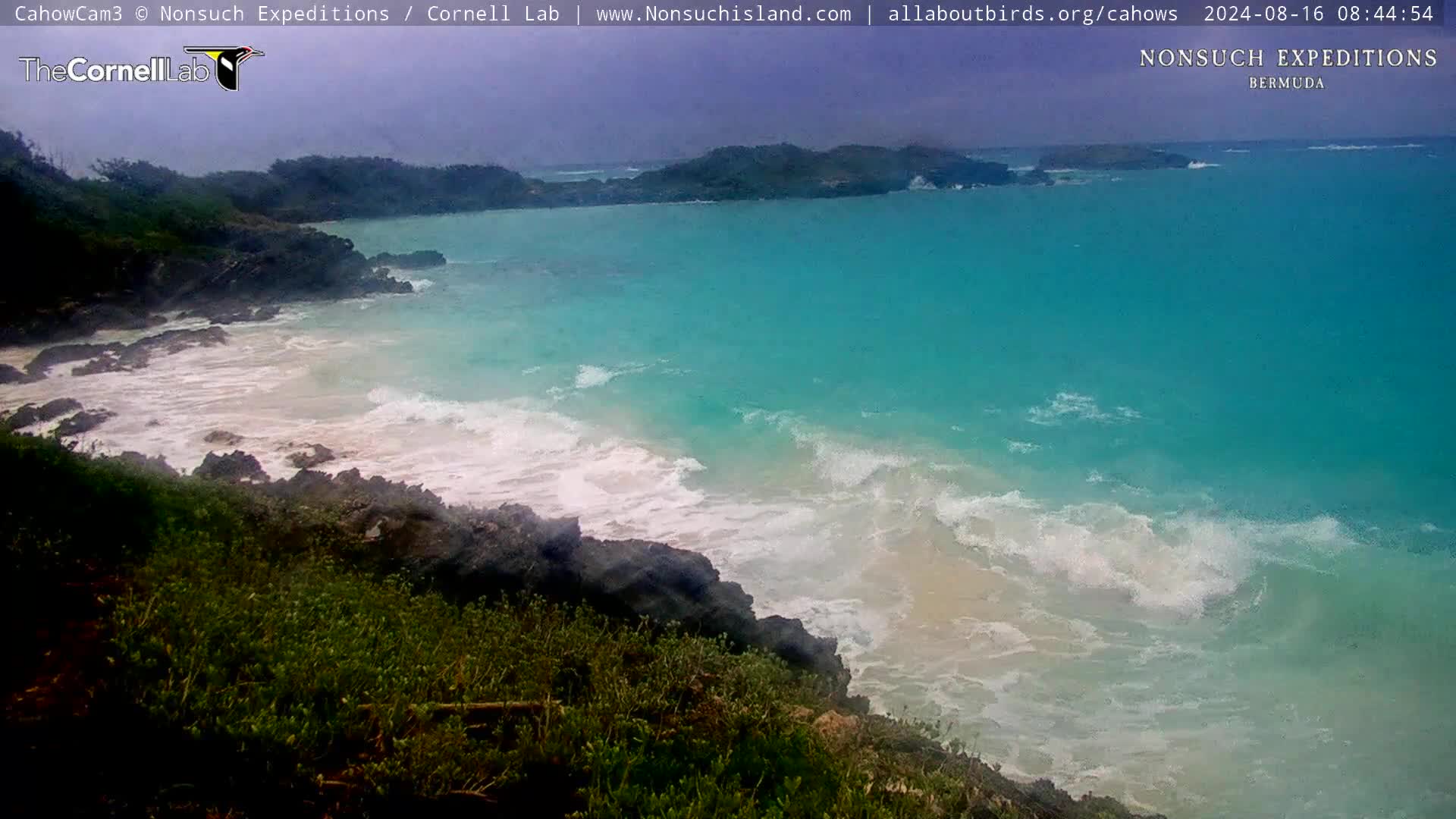 Nonsuch Island Bermuda Cam Ernesto (2024)