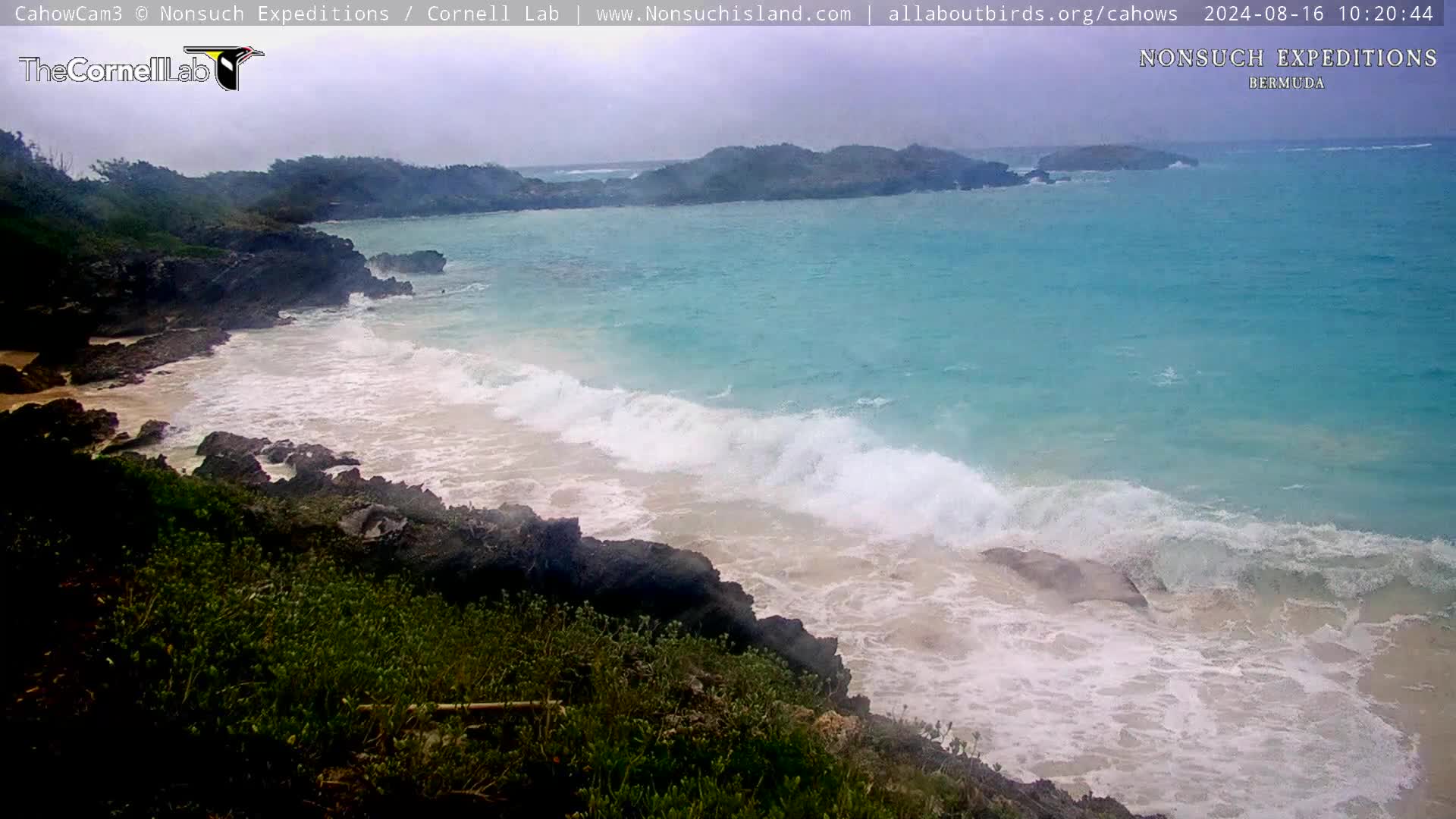 Nonsuch Island Bermuda Cam Ernesto (2024)