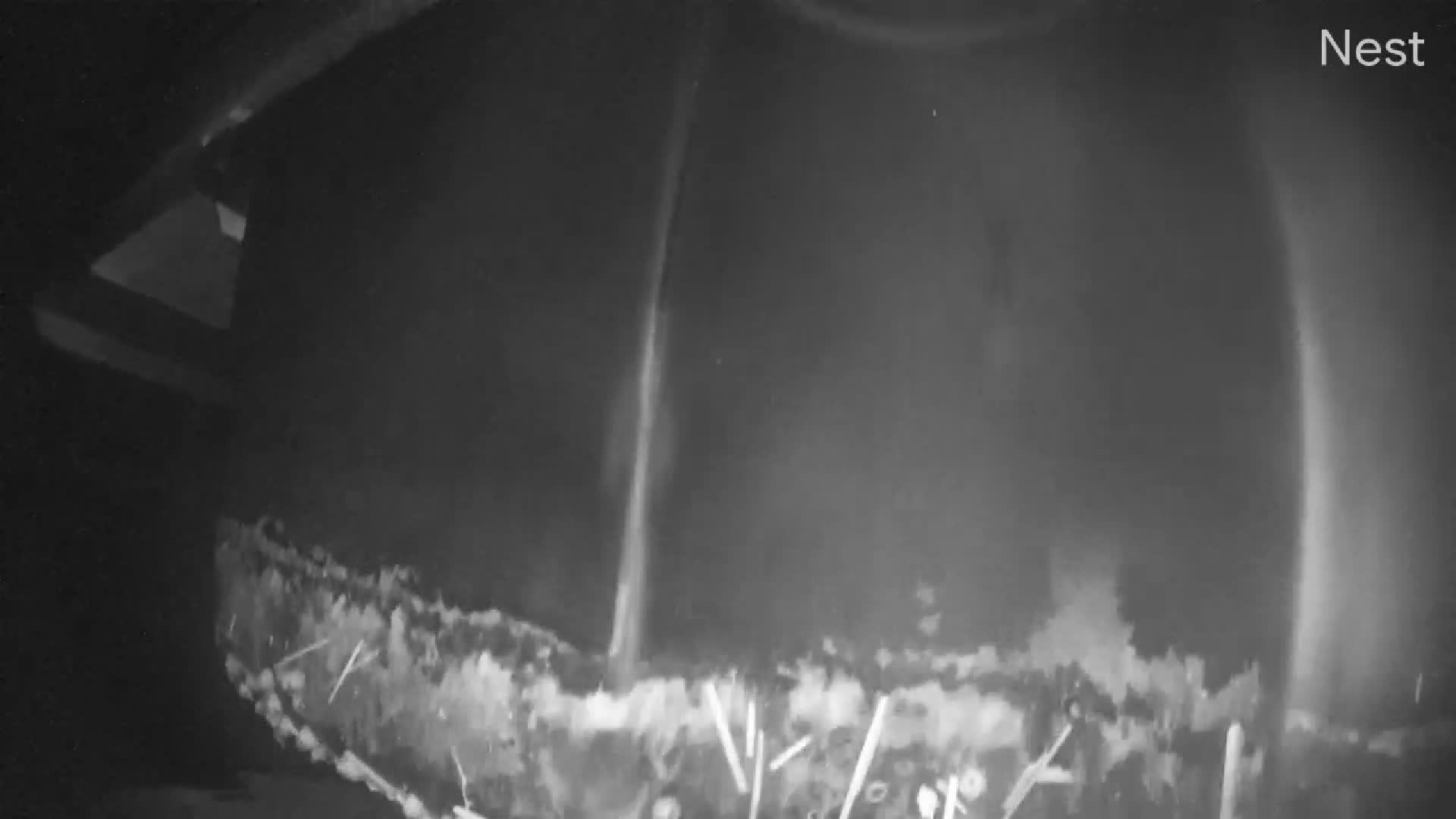 Hurricanetrack Steinhatchee Riverfront Cam Helene (2024)