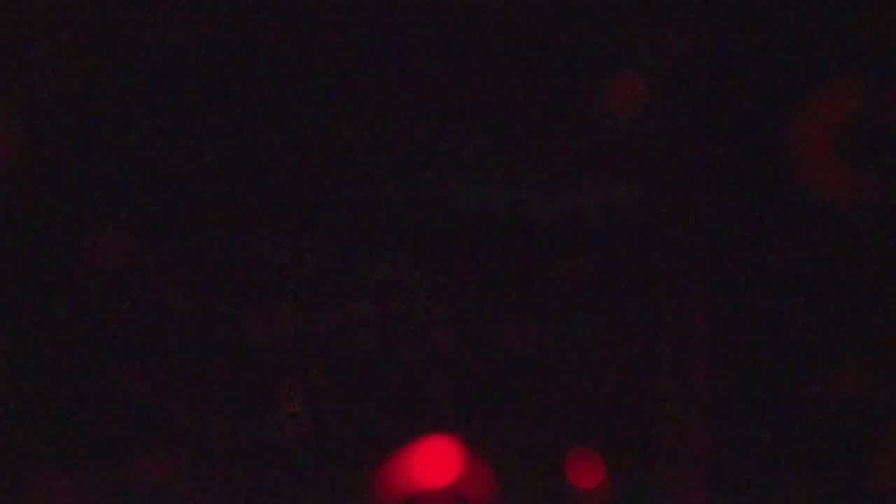 Hurricanetrack St Marks Cam 2 Helene (2024)