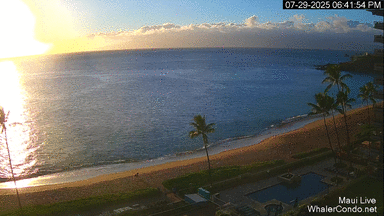 Maui (July 2025)