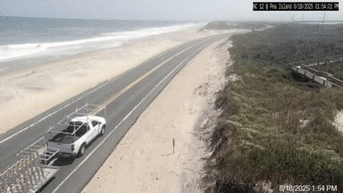 HWY 12 Pea Island Refuge Webcam Erin (2025)
