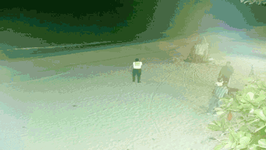 CocoLa Palm Beach Jamaica Webcam For Meilssa (2025)