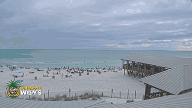Panama City Beach, FL (Pineapple Willys 2) — FL - Panhandle