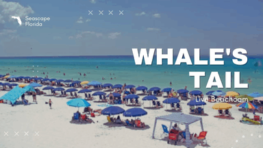 Destin, FL (Whate's Tail) — FL - Panhandle
