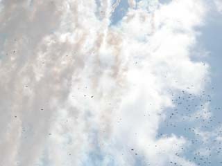 P1010470